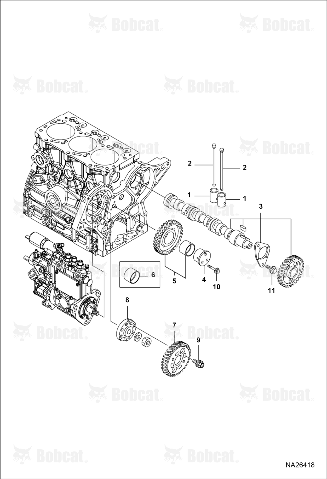 Camshaft & Driving Gear