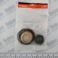 Thumbnail of Pid 7201446 pt kit seal pos 1