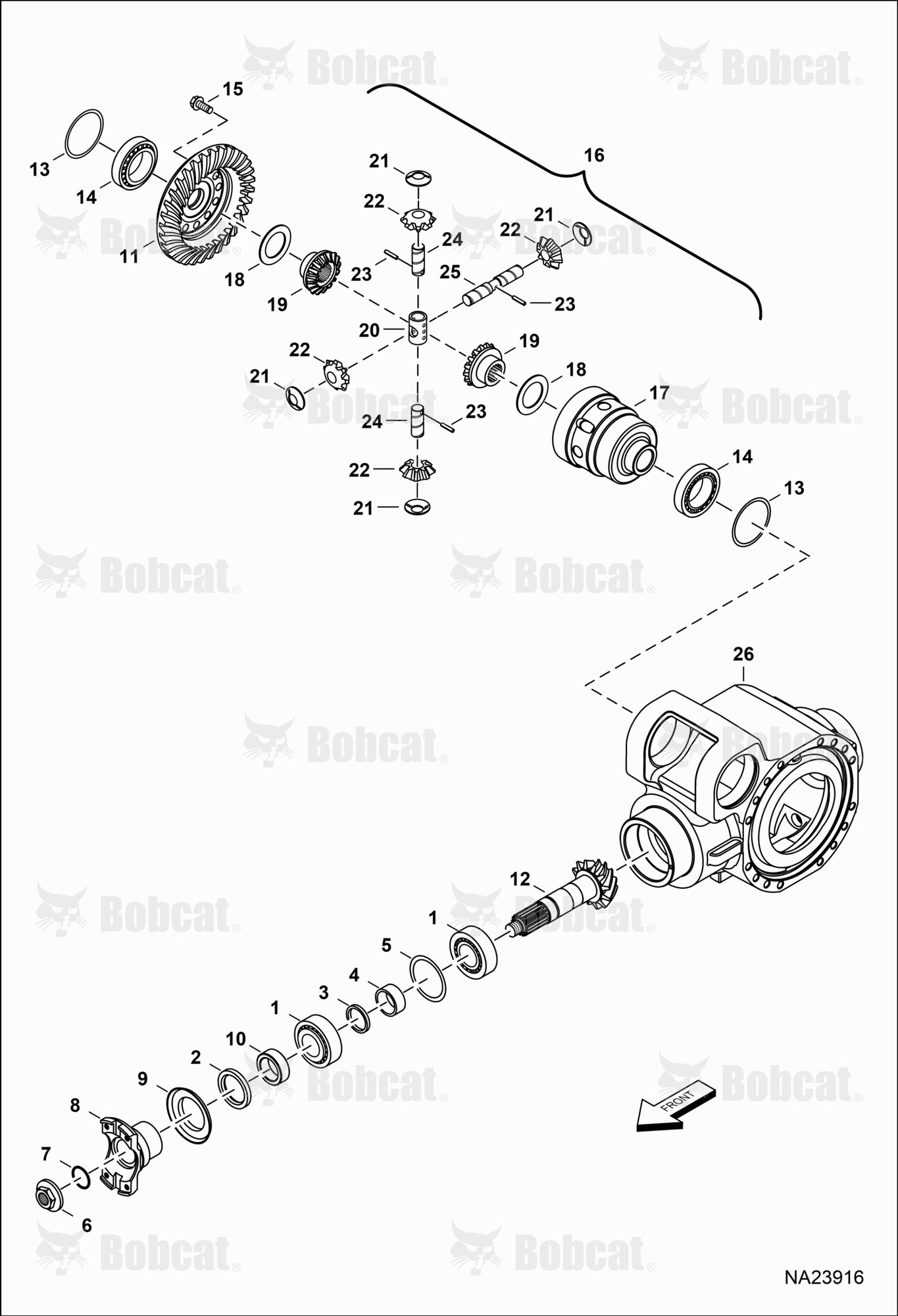 Rear Axle (Differential)