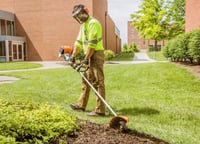 Thumbnail of STIHL FB 131 Bed Redefiner