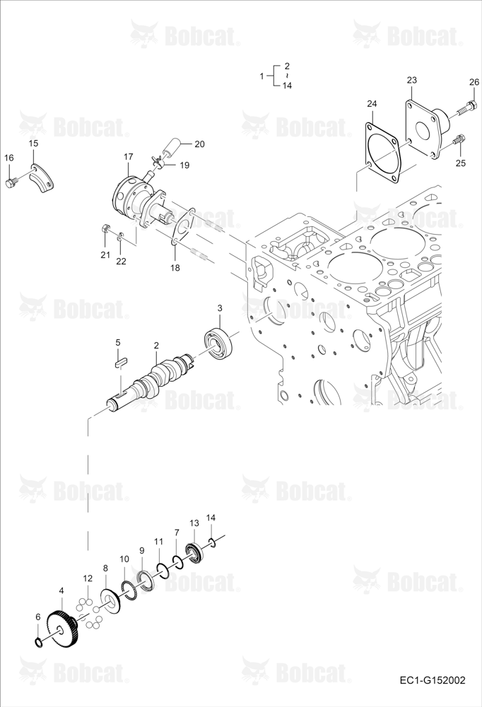 Fuel Camshaft Group