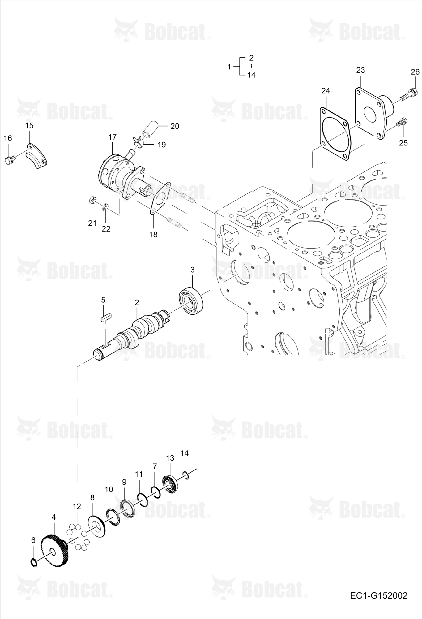 Fuel Camshaft Group