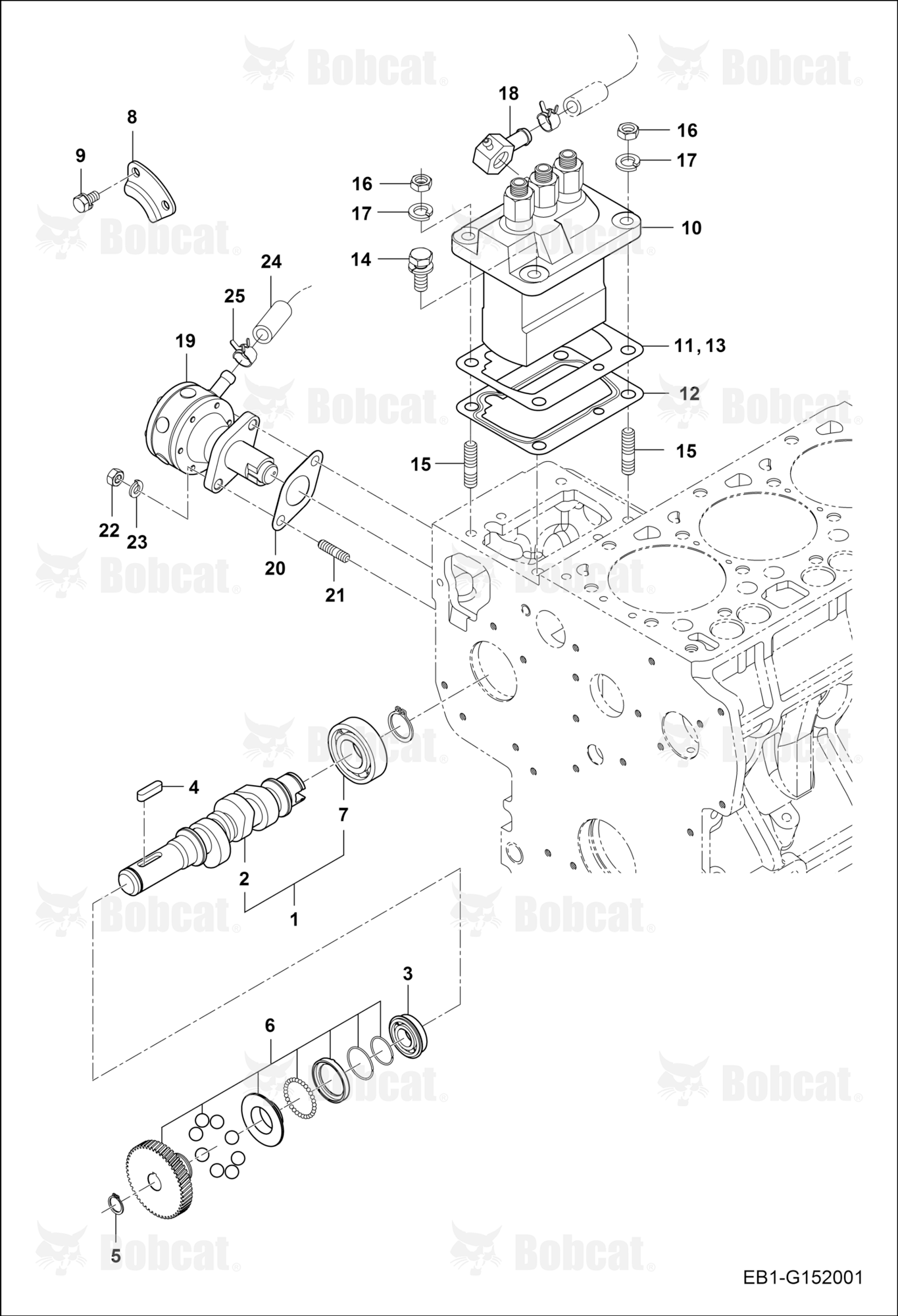 Fuel Injection System (Pump & Camshaft)