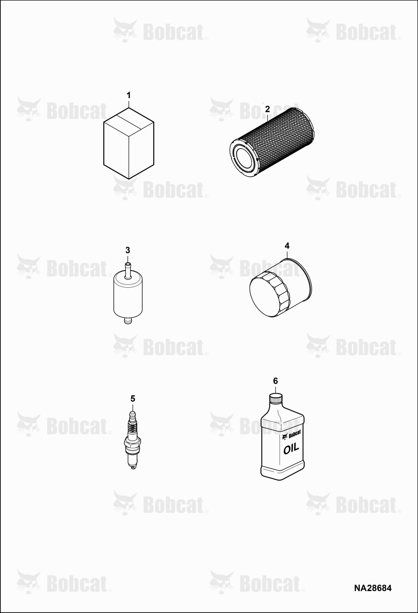 Maintenance Items (Service Items)