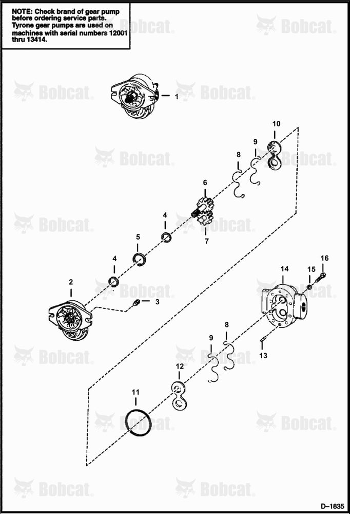 Gear Pump (Tyrone)