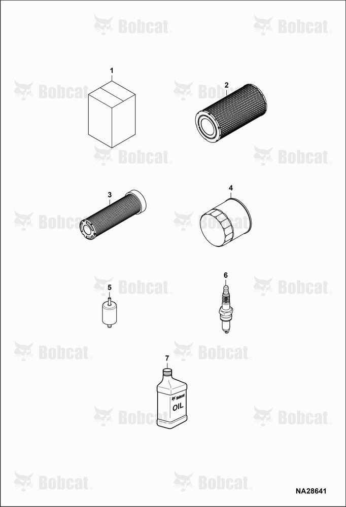 Maintenance Items (Service Items)