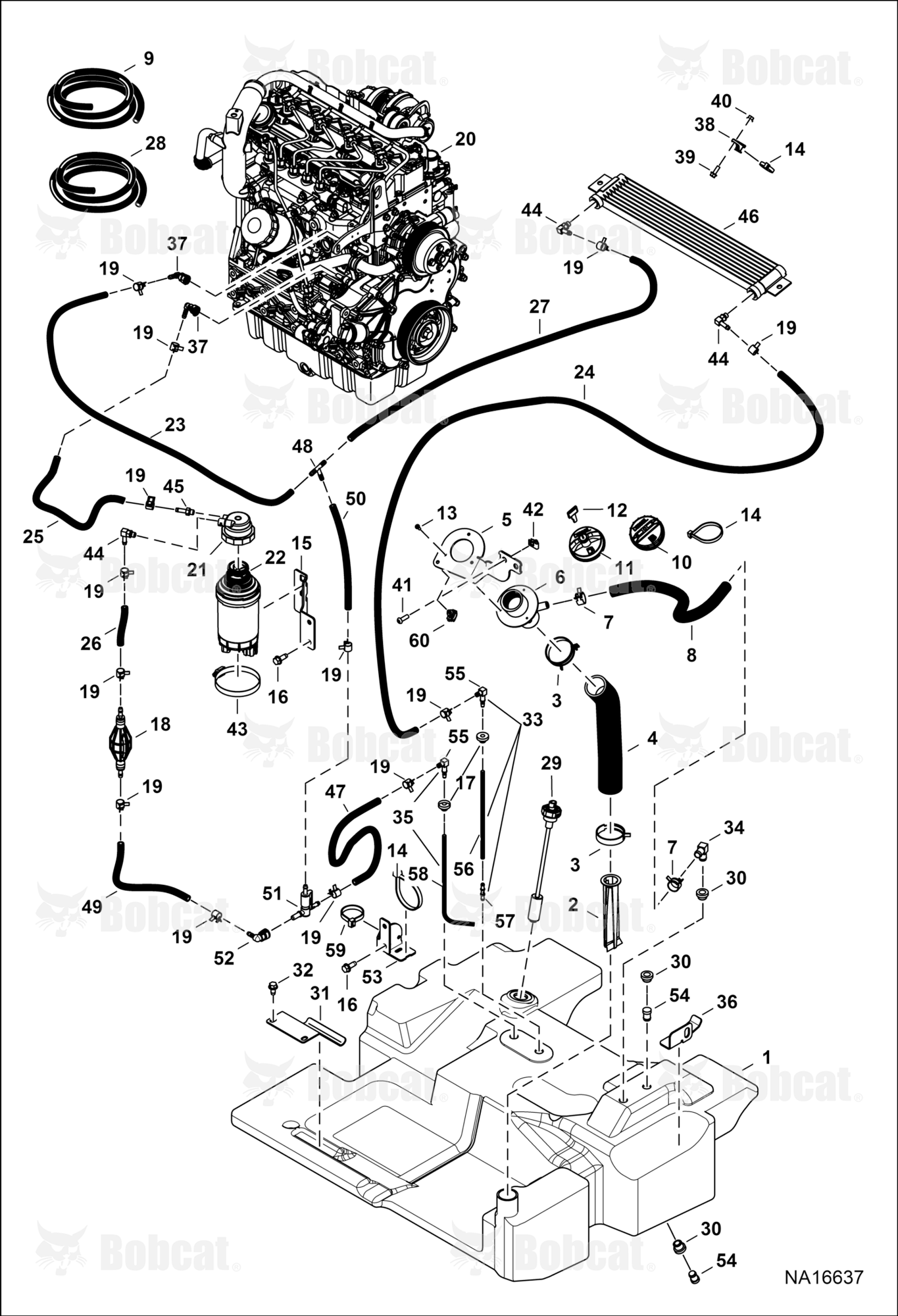 Engine & Attaching Parts (Fuel System)  B3GY12703 & Above