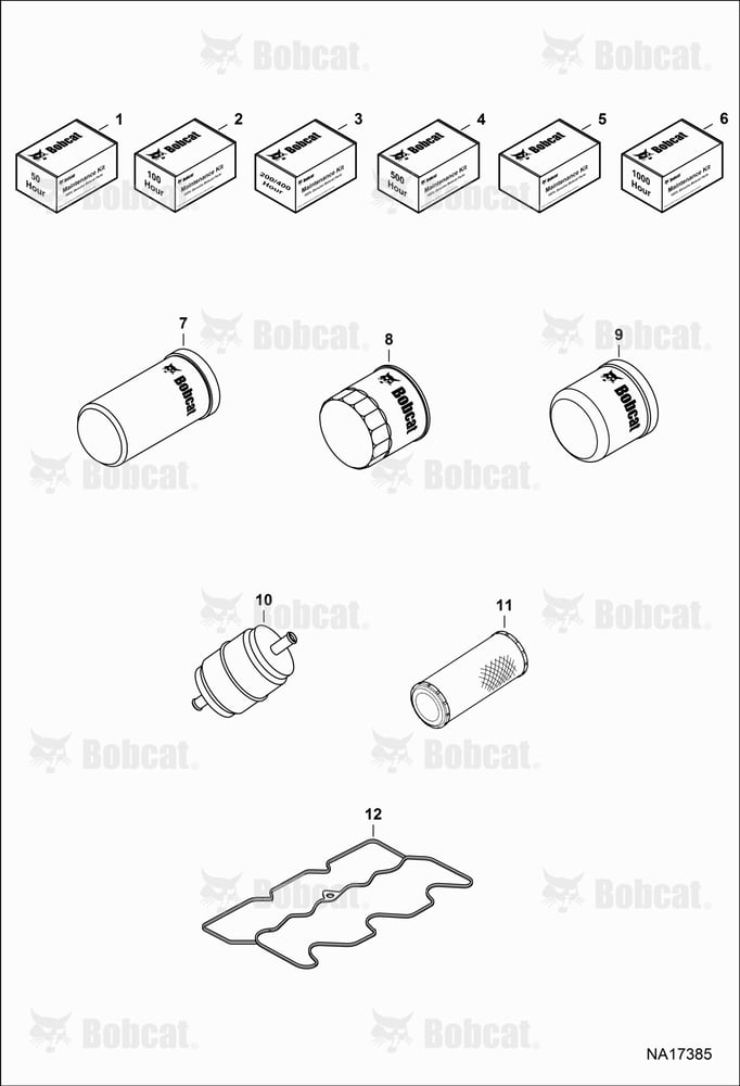 Maintenance Items (Scheduled Maintenance)