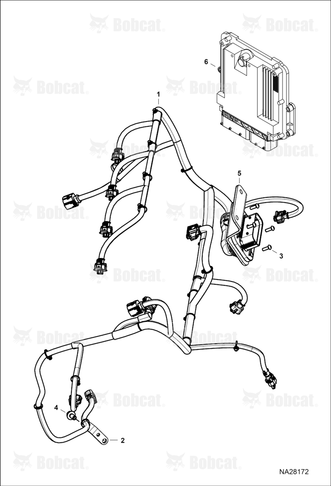 Engine Electrical Circuitry (Harness)