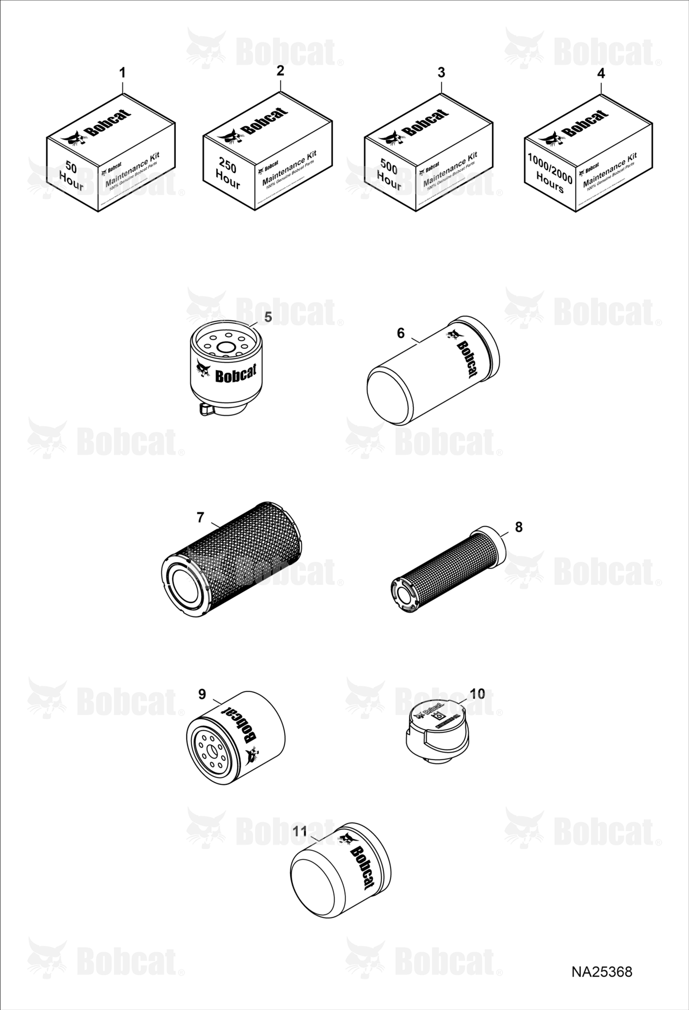 Maintenance Items (Scheduled Maintenance)