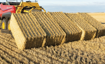 New Holland BigBaler 340 bales.png