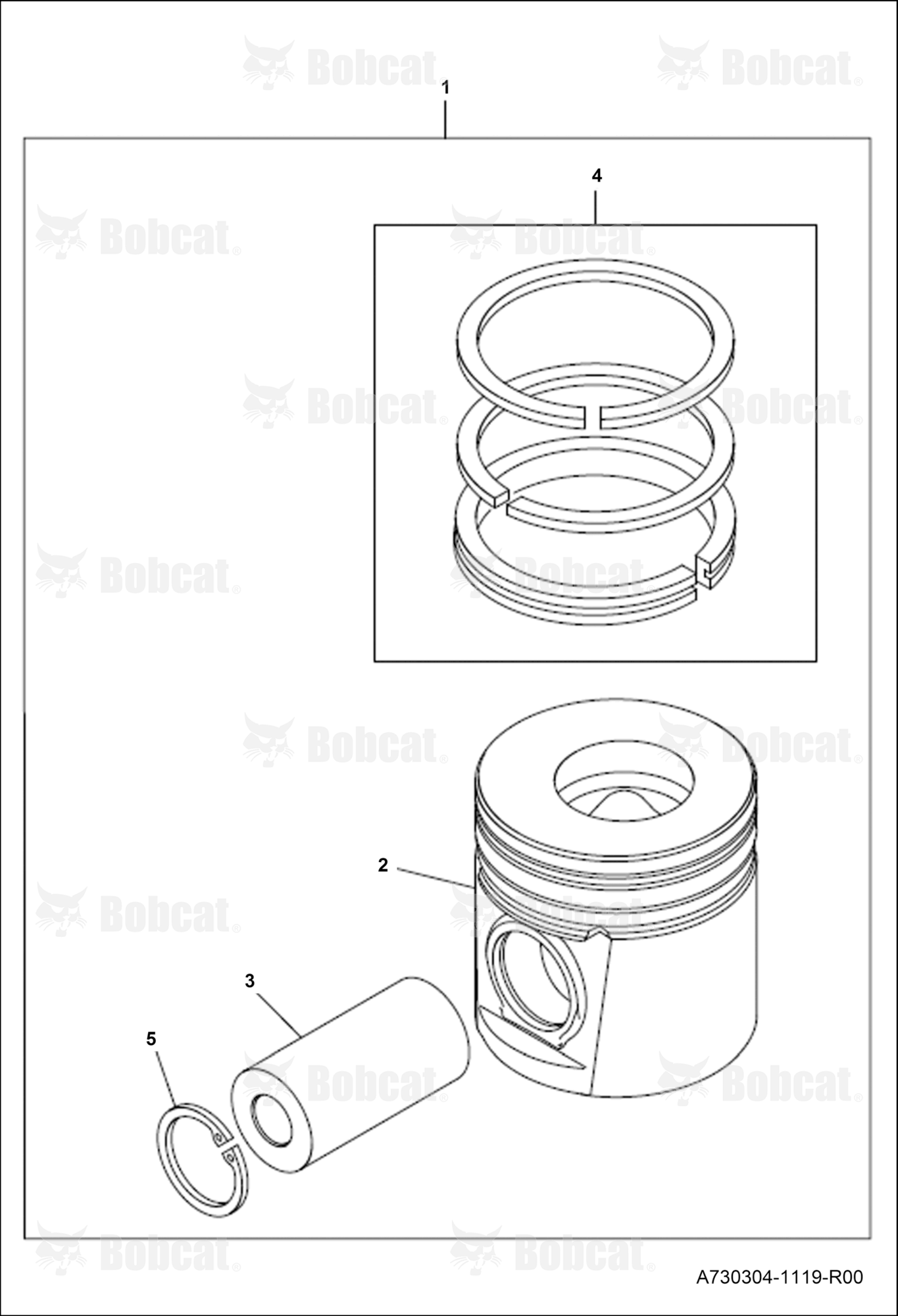 Pistons and Rings