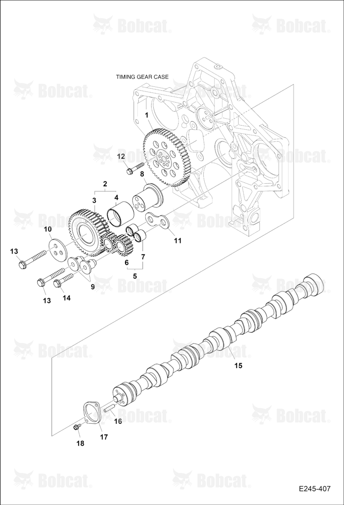 Camshaft Drive