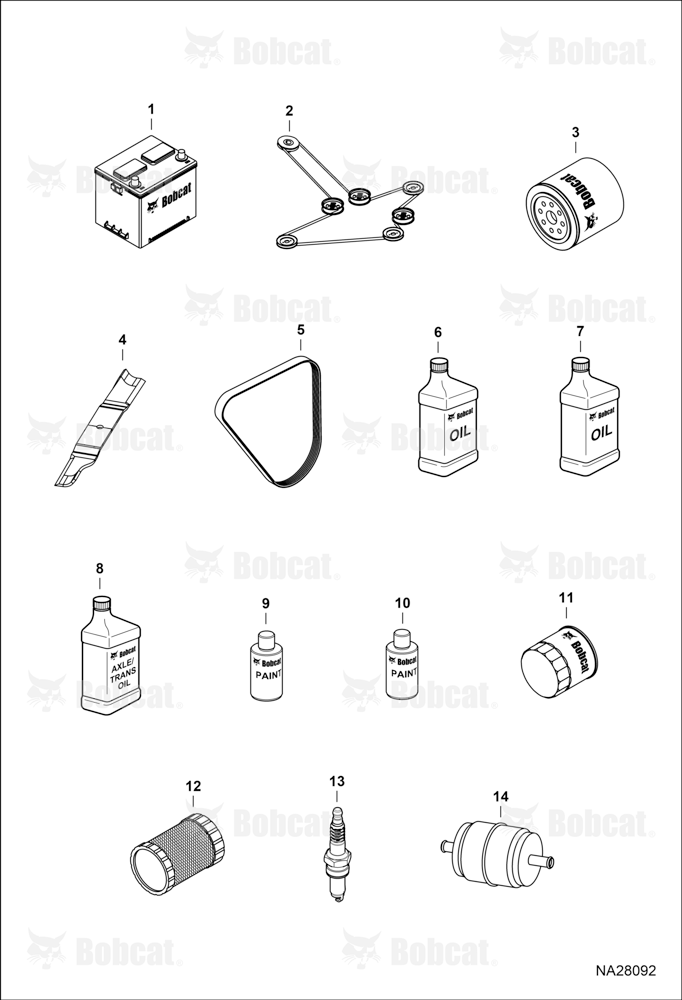 Maintenance Items (Service Items)