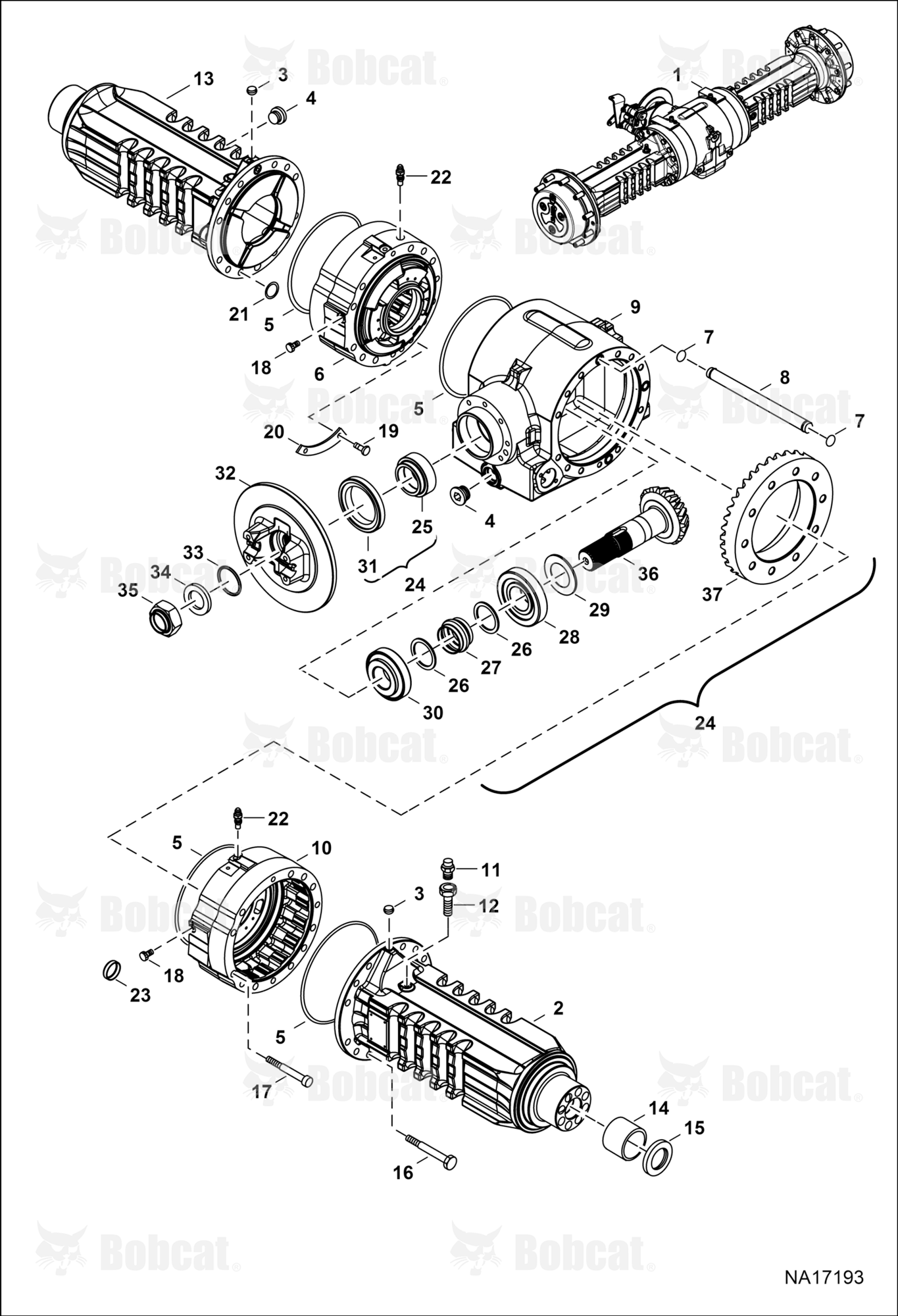 Rear Axle (Housings)