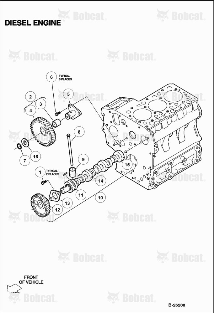 Camshaft and Idler Gear (Diesel)