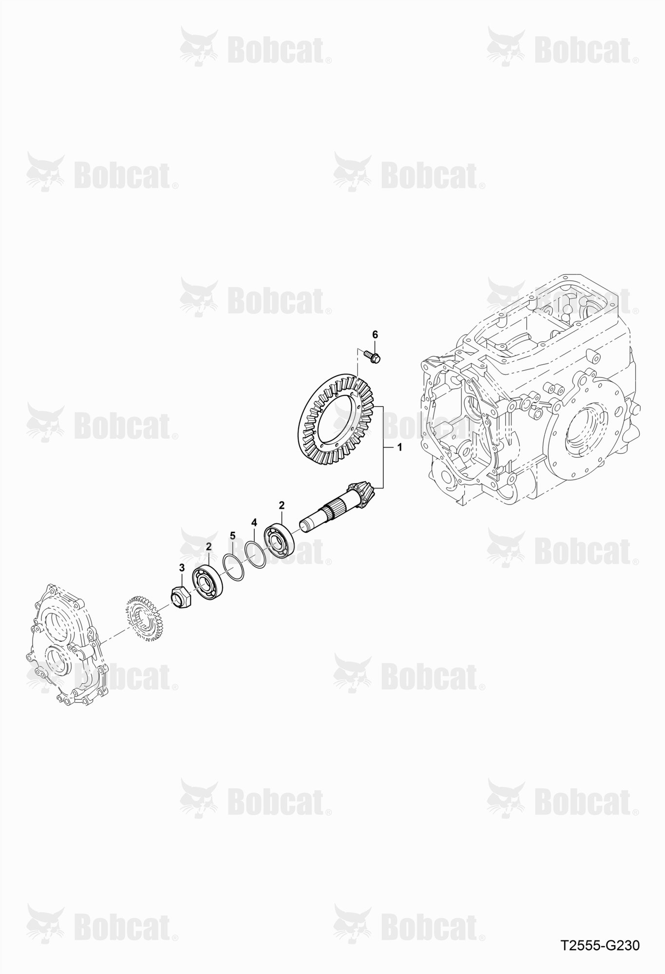 Bevel Pinoin Gear Group