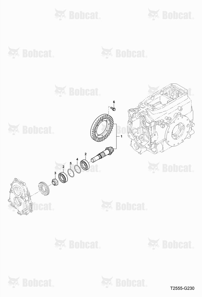Bevel Pinoin Gear Group