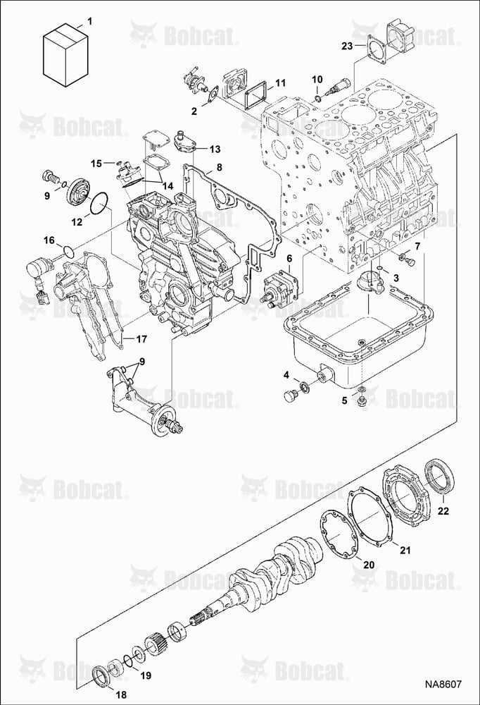 Lower Gasket Kit