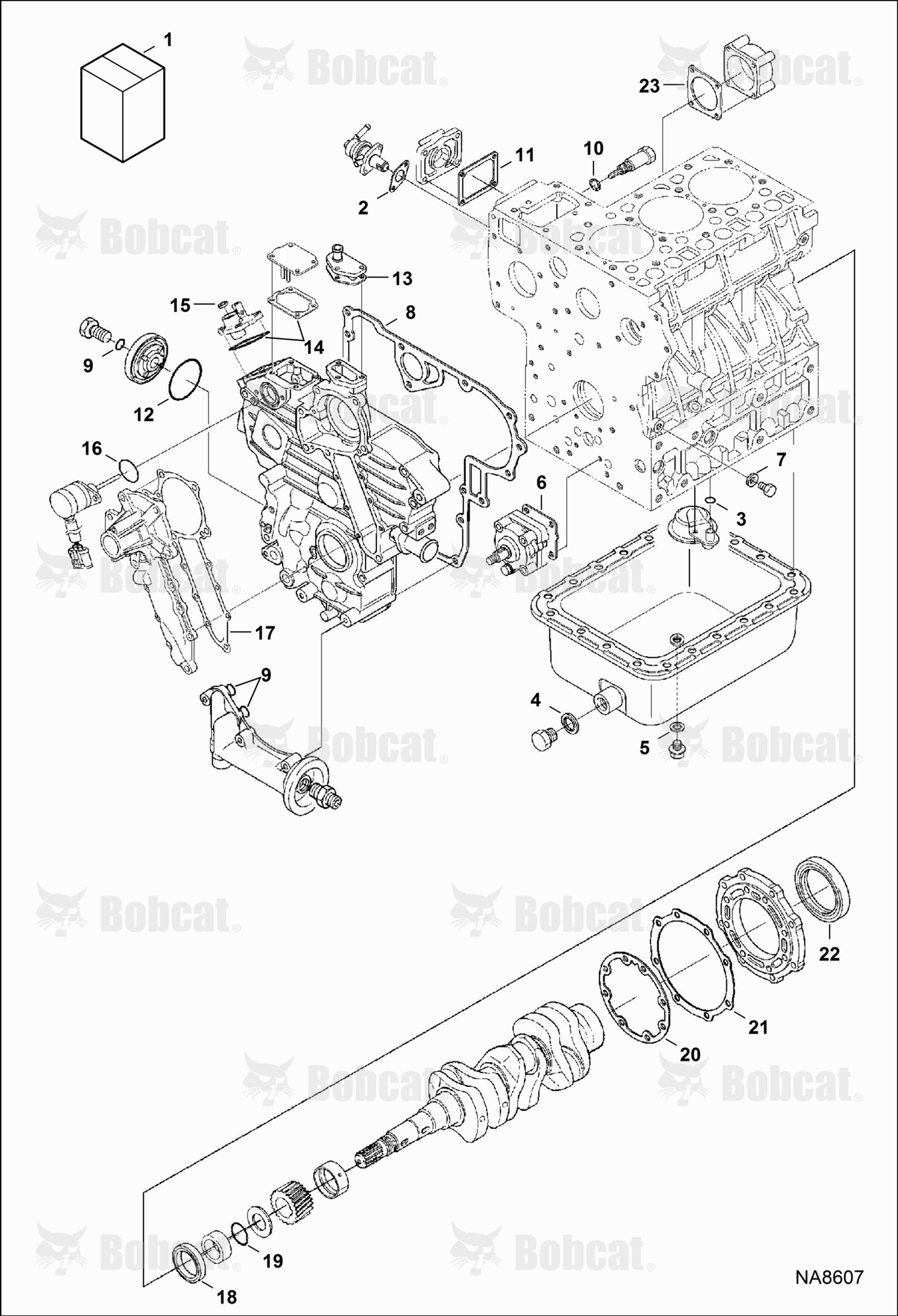 Lower Gasket Kit