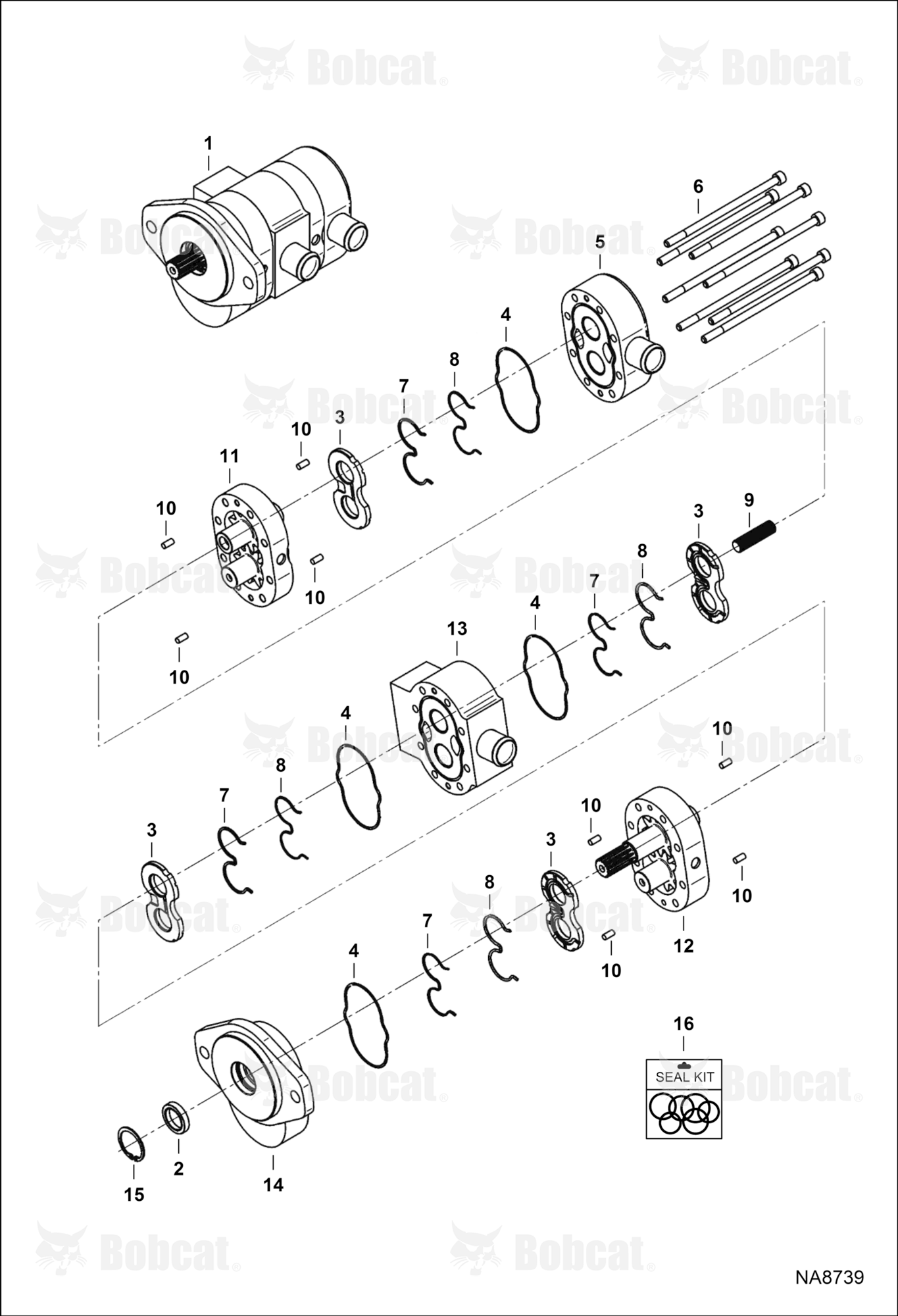 Gear Pump (Double)