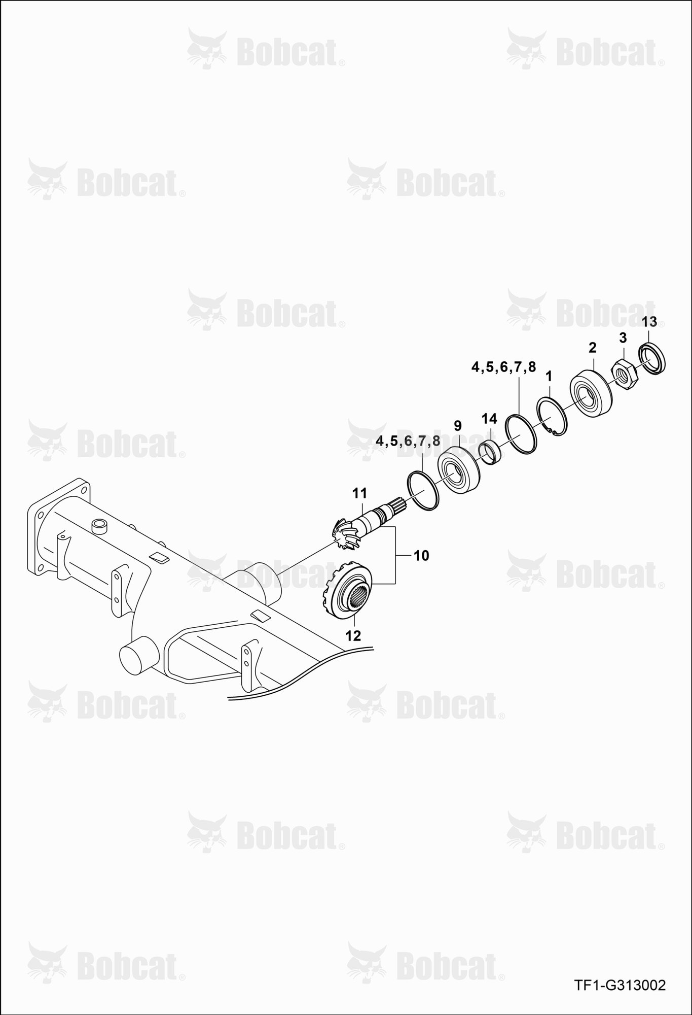 Bevel Pinion Shaft Group