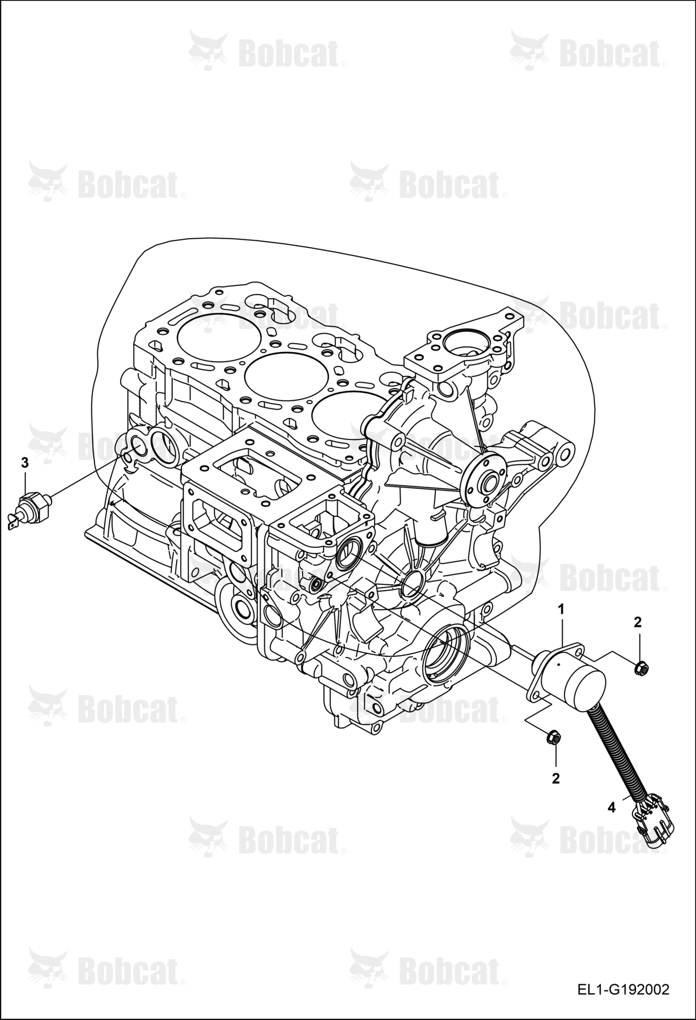 Engine Electrical Group