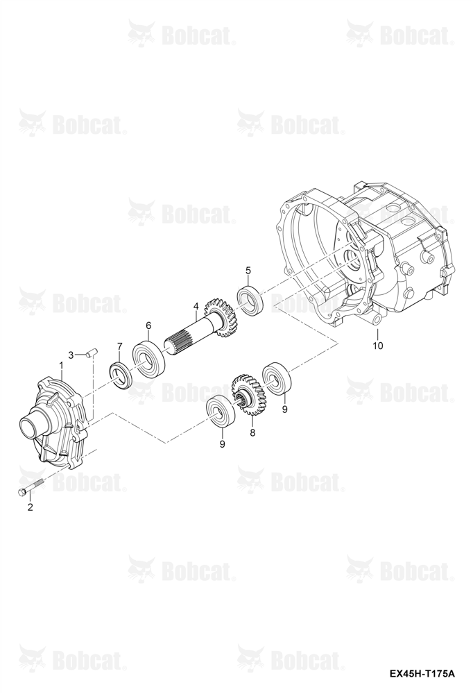 Drive Shaft Group
