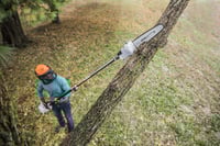 Thumbnail of STIHL HT 56 CE Pole Pruner Action