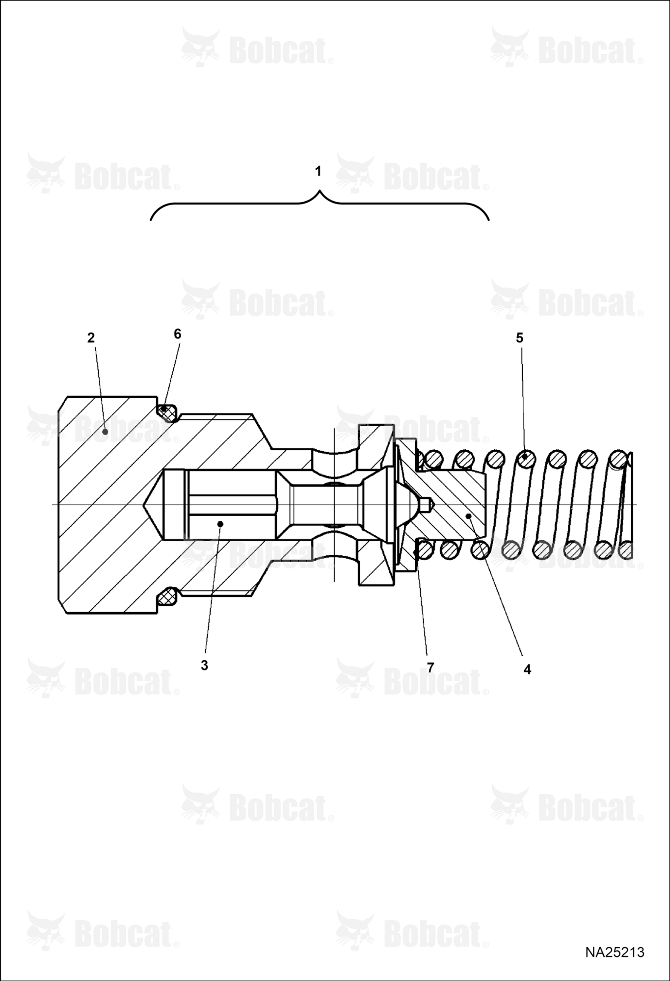 Hydrostatic Pump (Pressure Relief Valve)  B53C12001 & Above