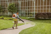 Thumbnail of STIHL BR 600 Backpack Blower Action