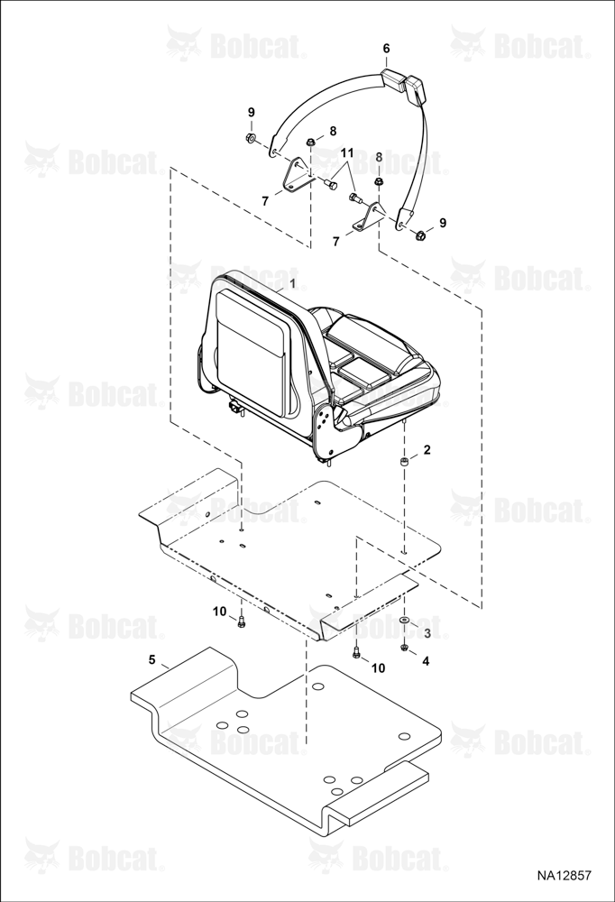 Seat & Seat Belt