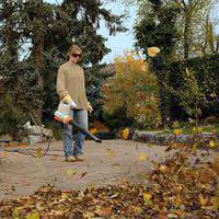 Thumbnail of STIHL BGE 71 Electric Blower Action