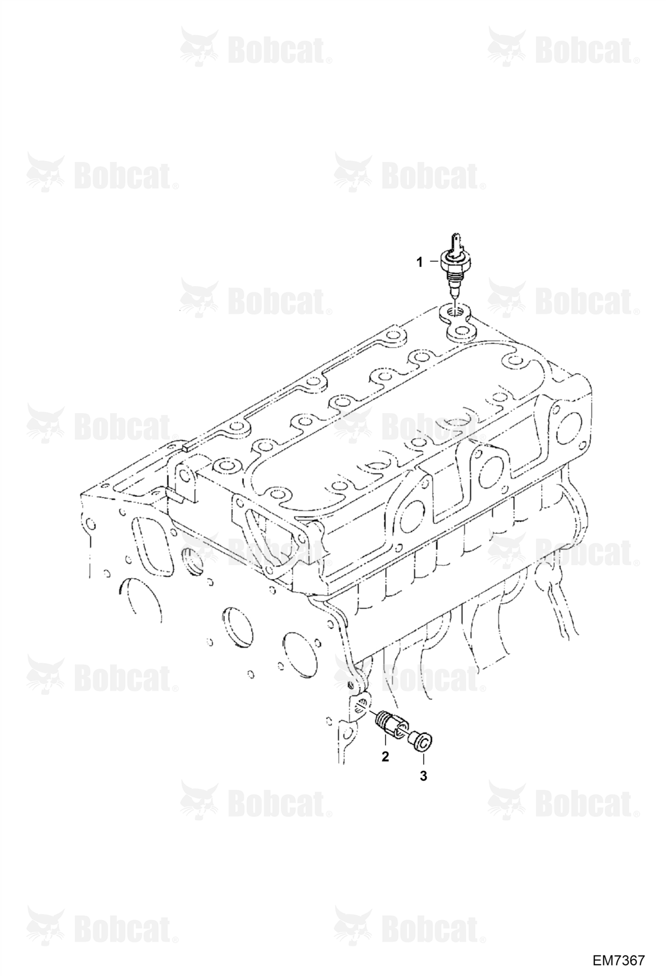Oil Switch / Thermometer and Plug