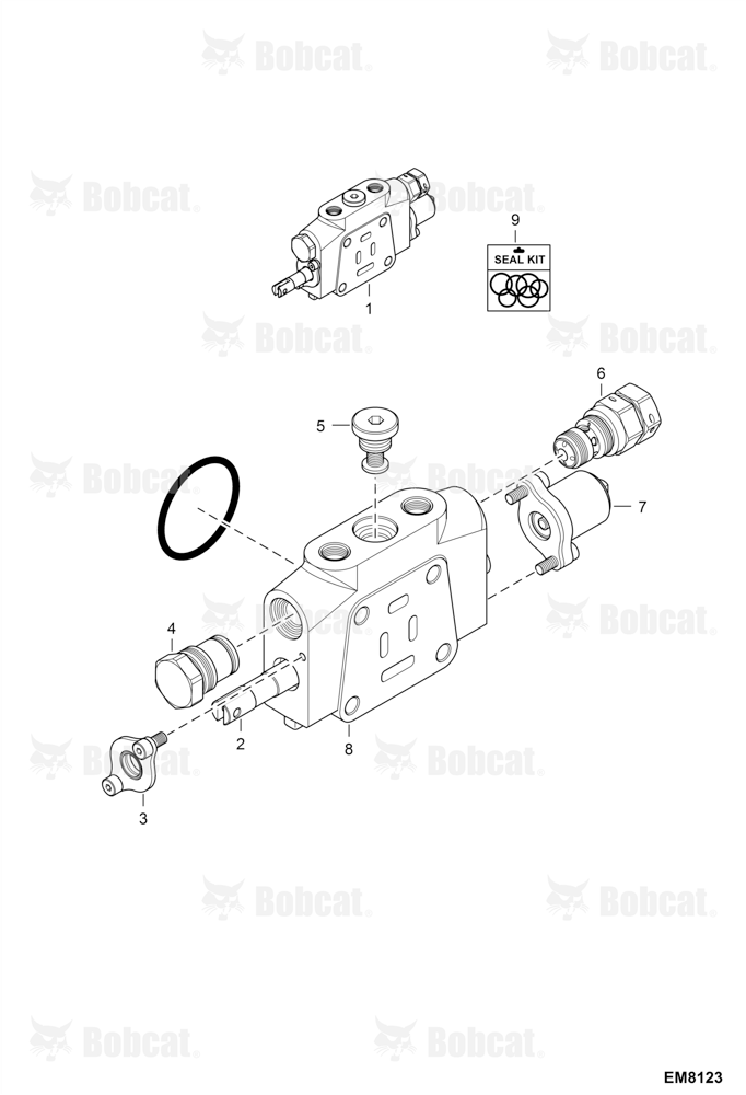 Valve Section (Boom) (Model 60100564MQ) (Model 60170381VY)