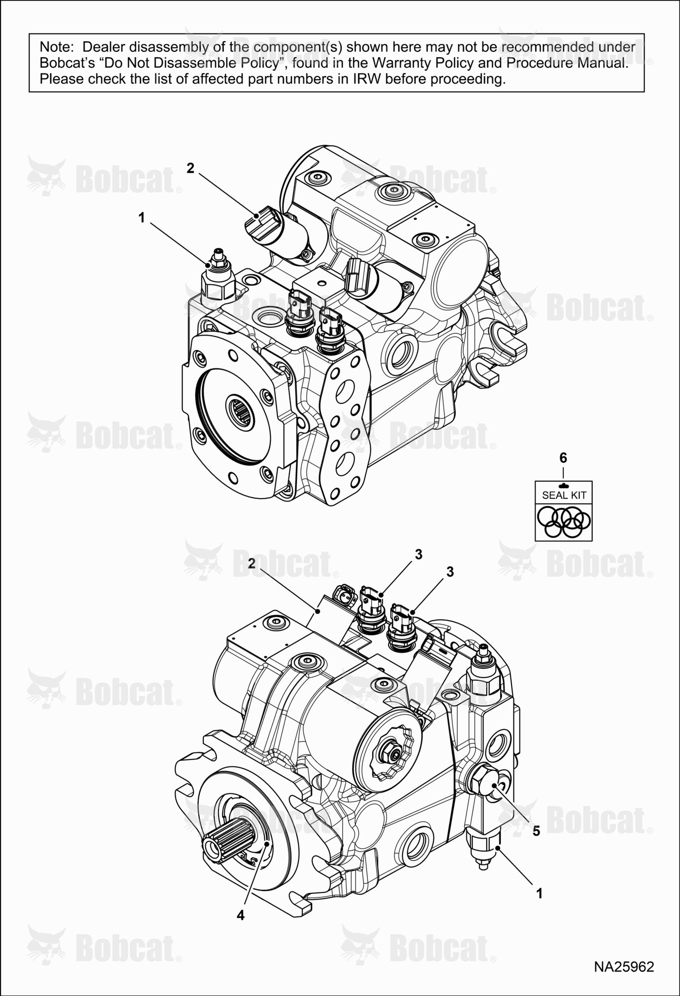 Hydrostatic Pump  B69A11001 & Above