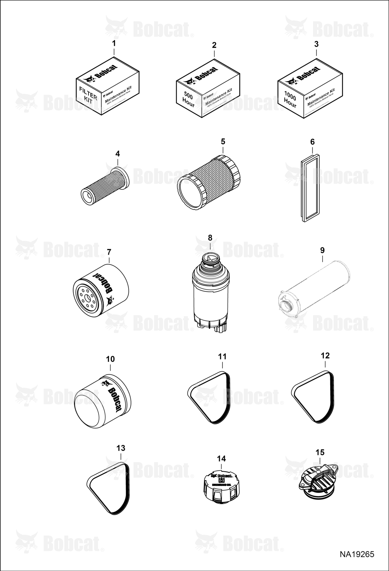 Maintenance Items (Scheduled Maintenance)