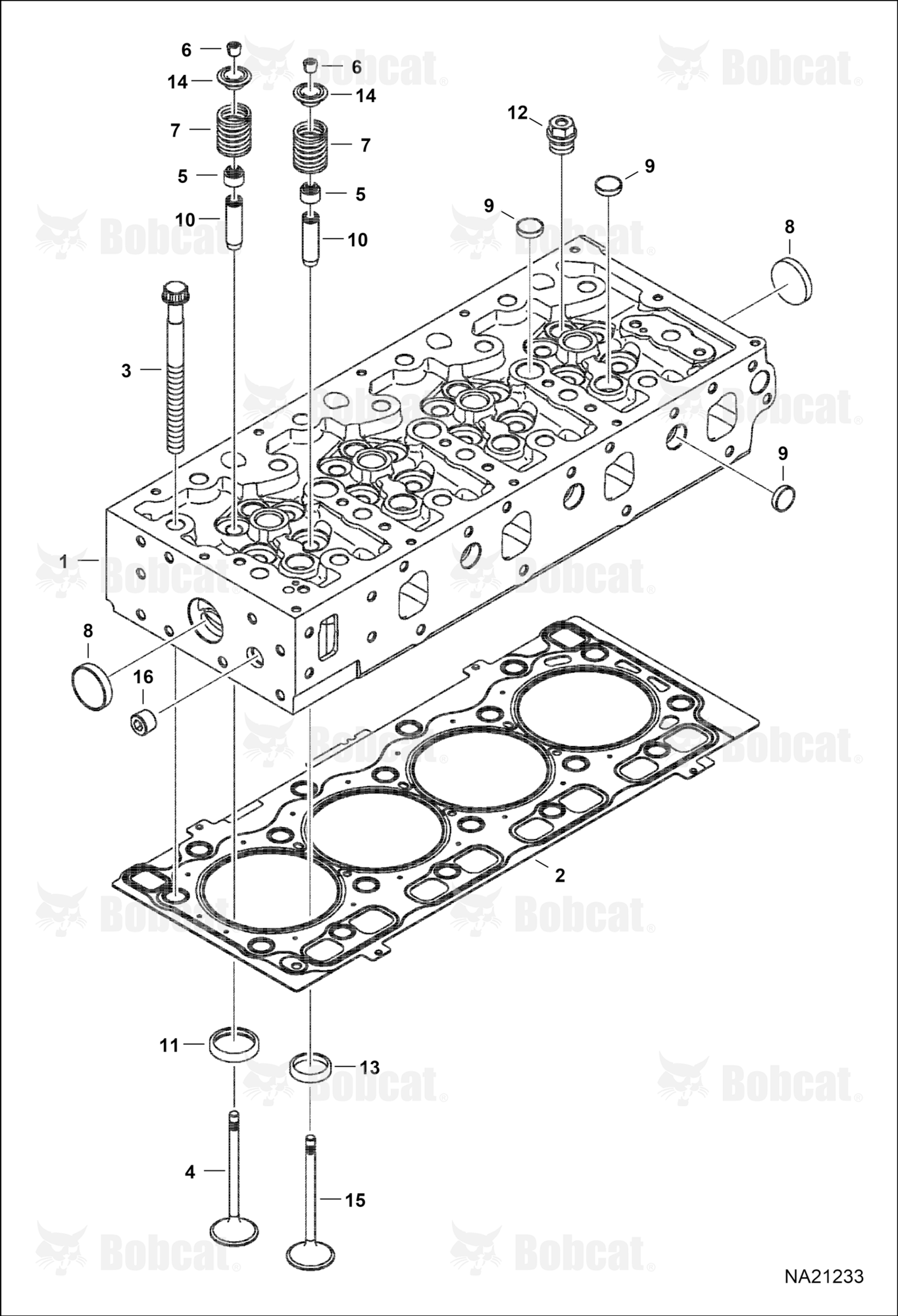 Cylinder Head