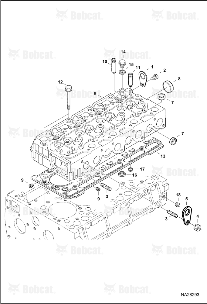 Cylinder Head (Blue) (Engine Serial # V2403-B******)