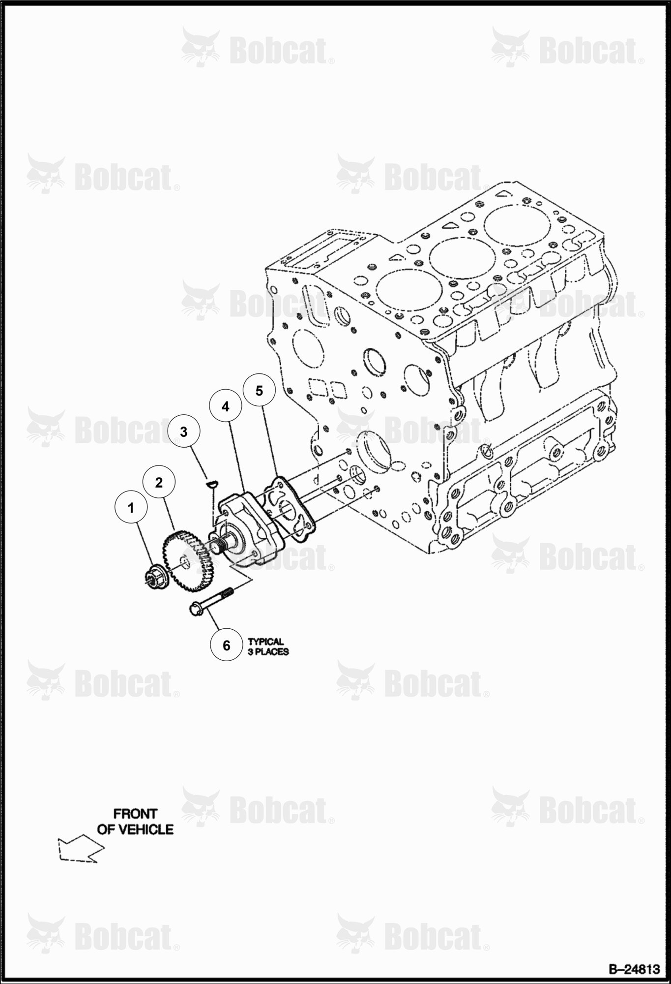 Oil Pump (Diesel)