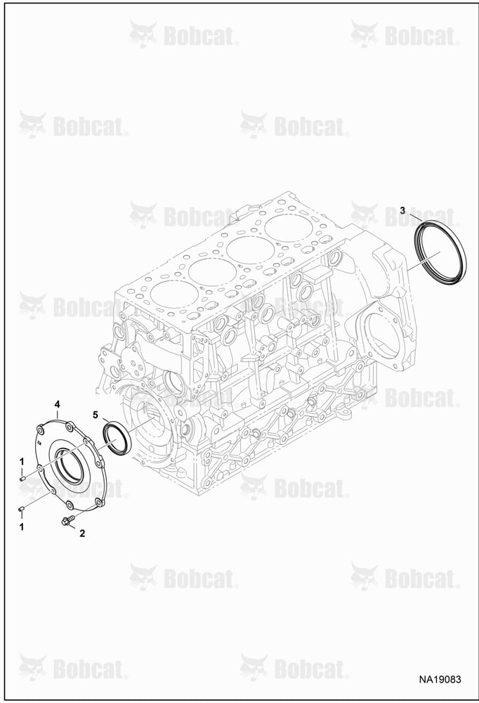 Oil Seals
