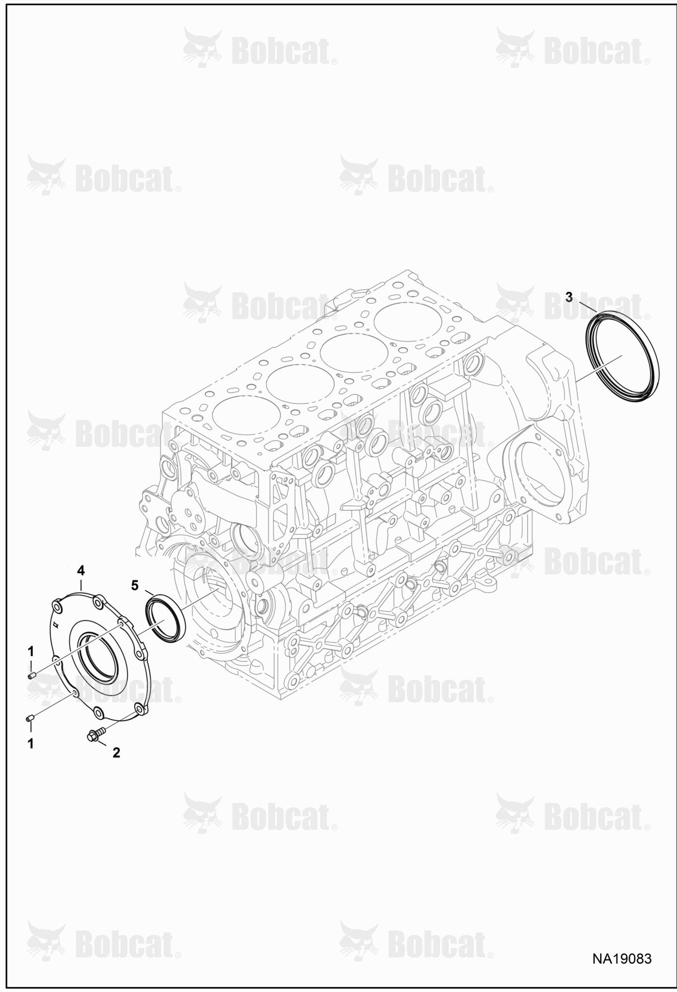 Oil Seals