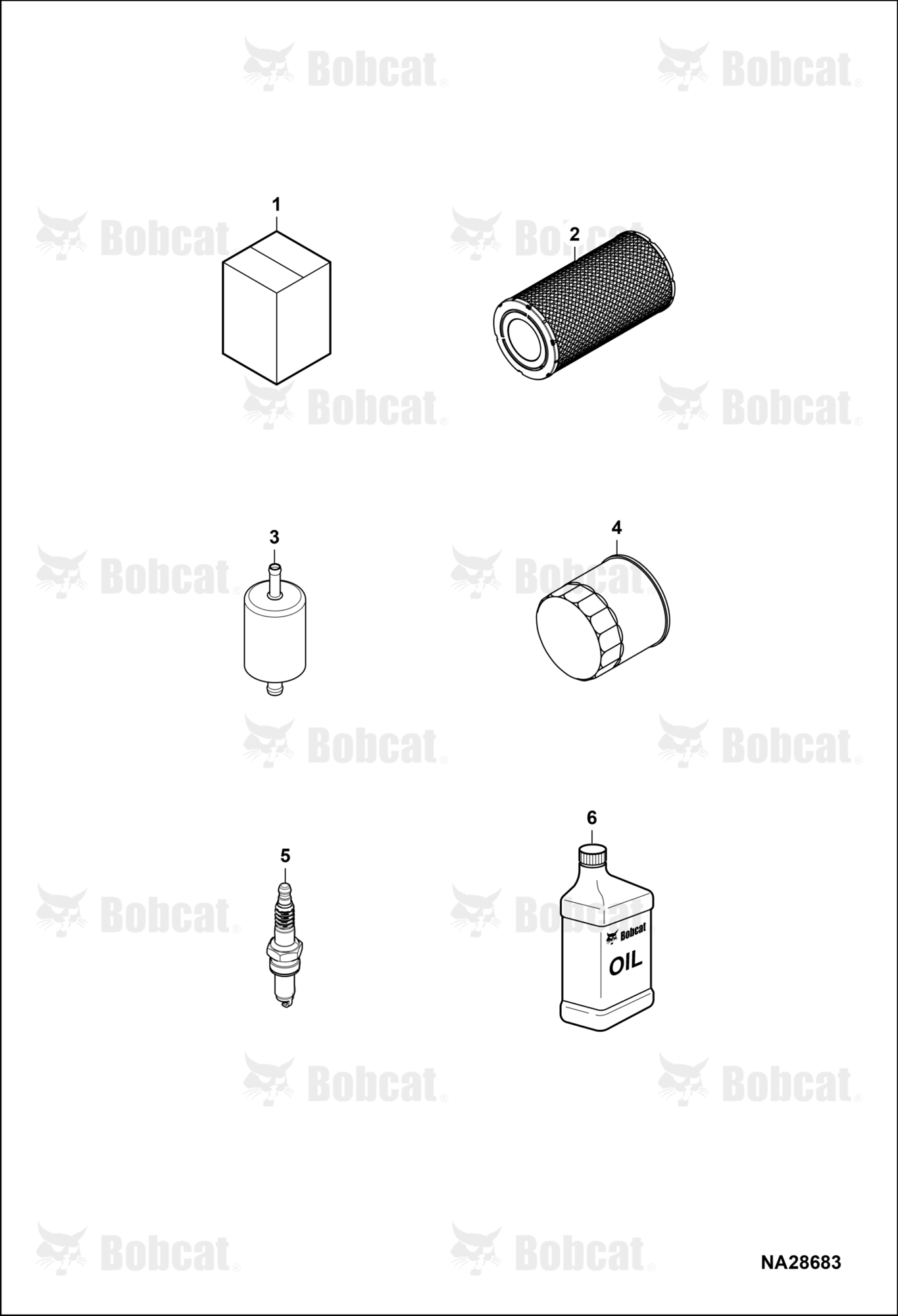 Maintenance Items (Service Items)