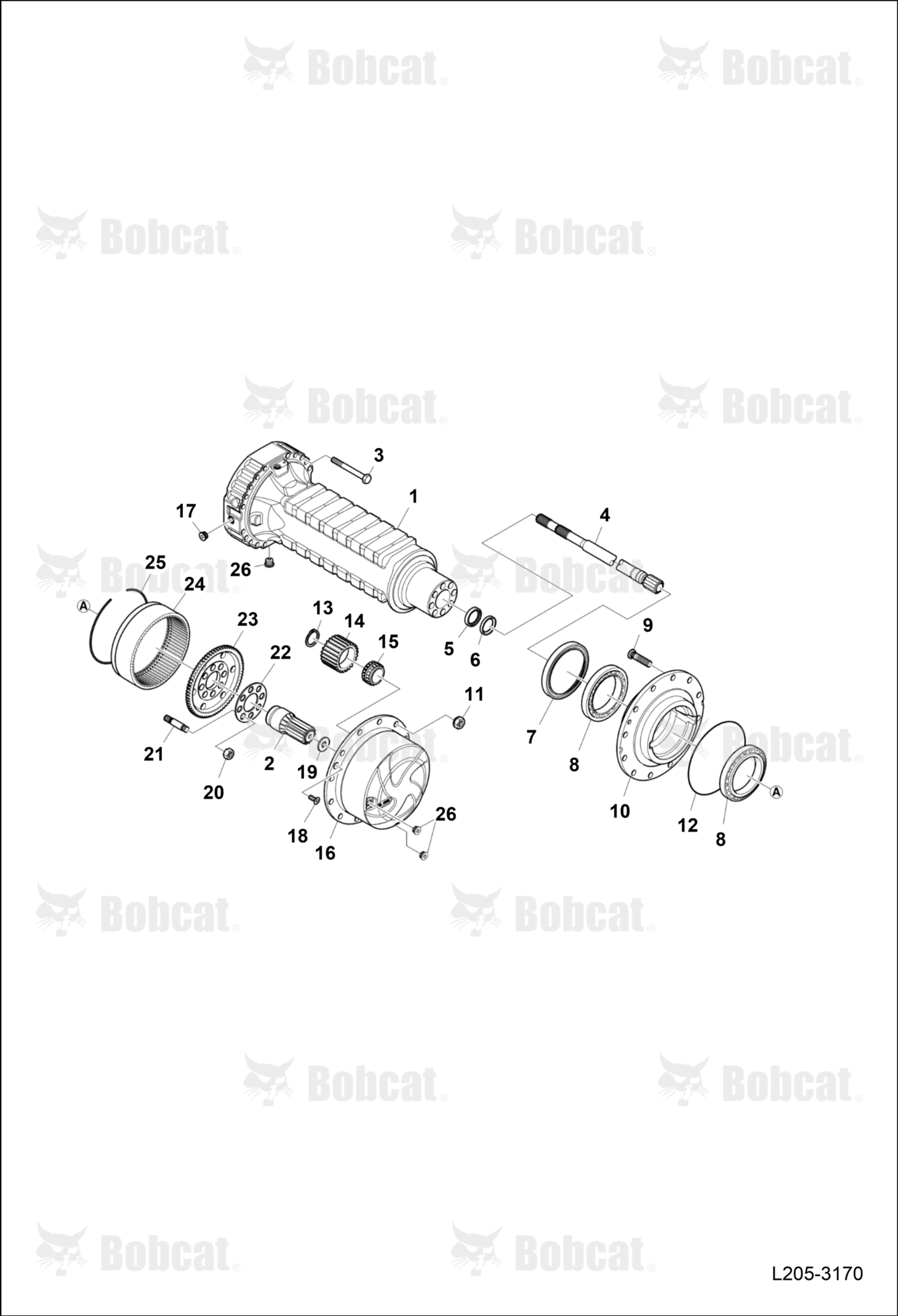 Planetary Gear (Rear Axle) (LSD)
