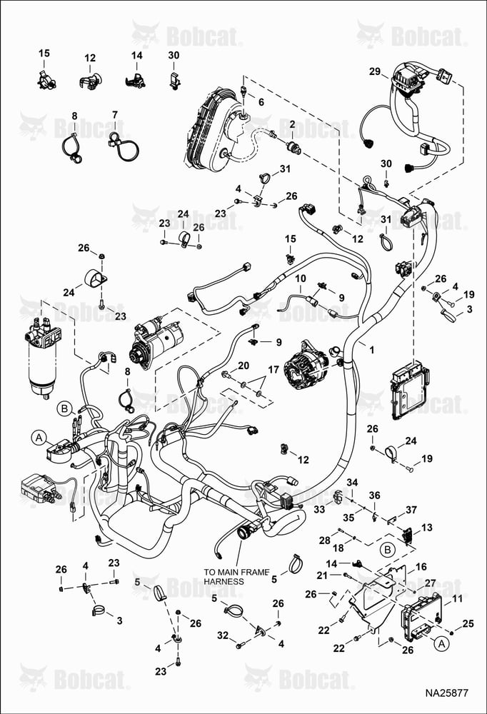 Engine Electrical Circuitry (Harness) B69H11001 & Above