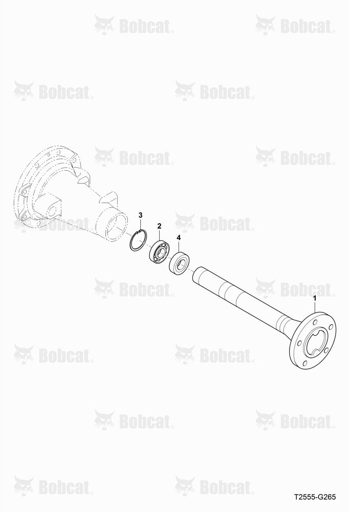 Rear Axle Group
