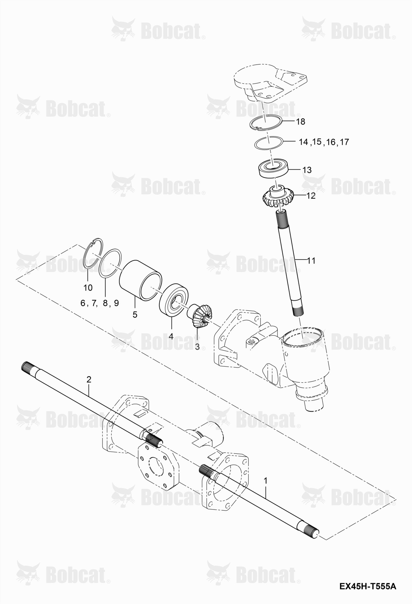 Bevel Gear Shaft Group
