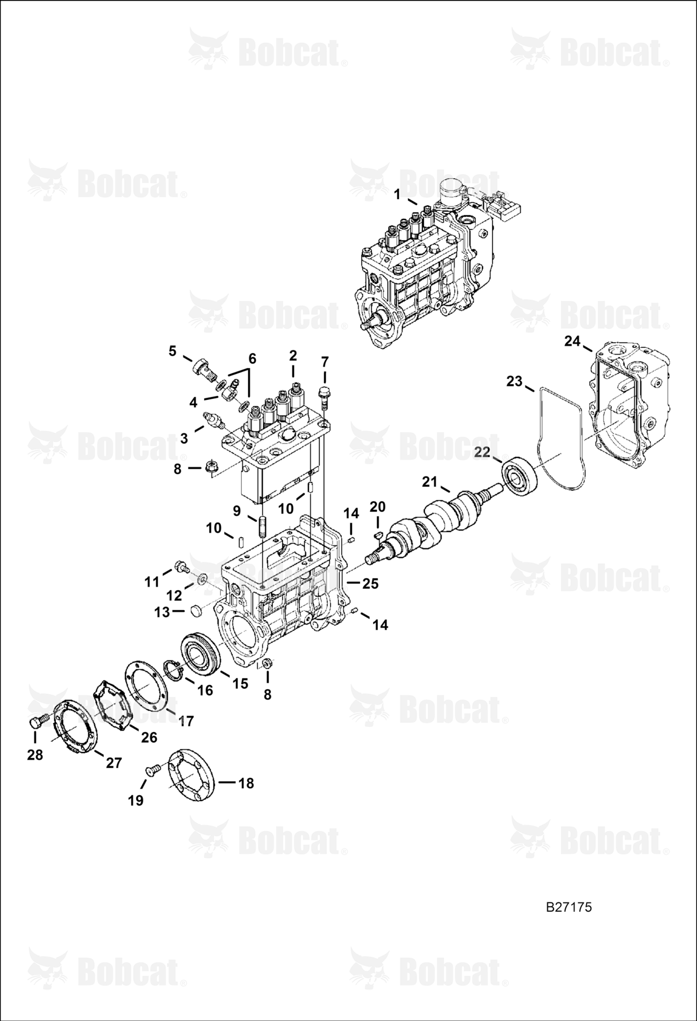 Fuel Injection Pump