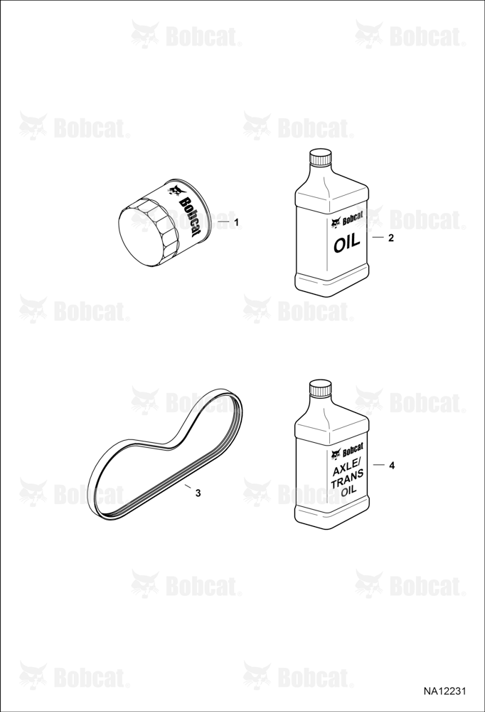 Scheduled Maintenance Items (Every 50 Hours)