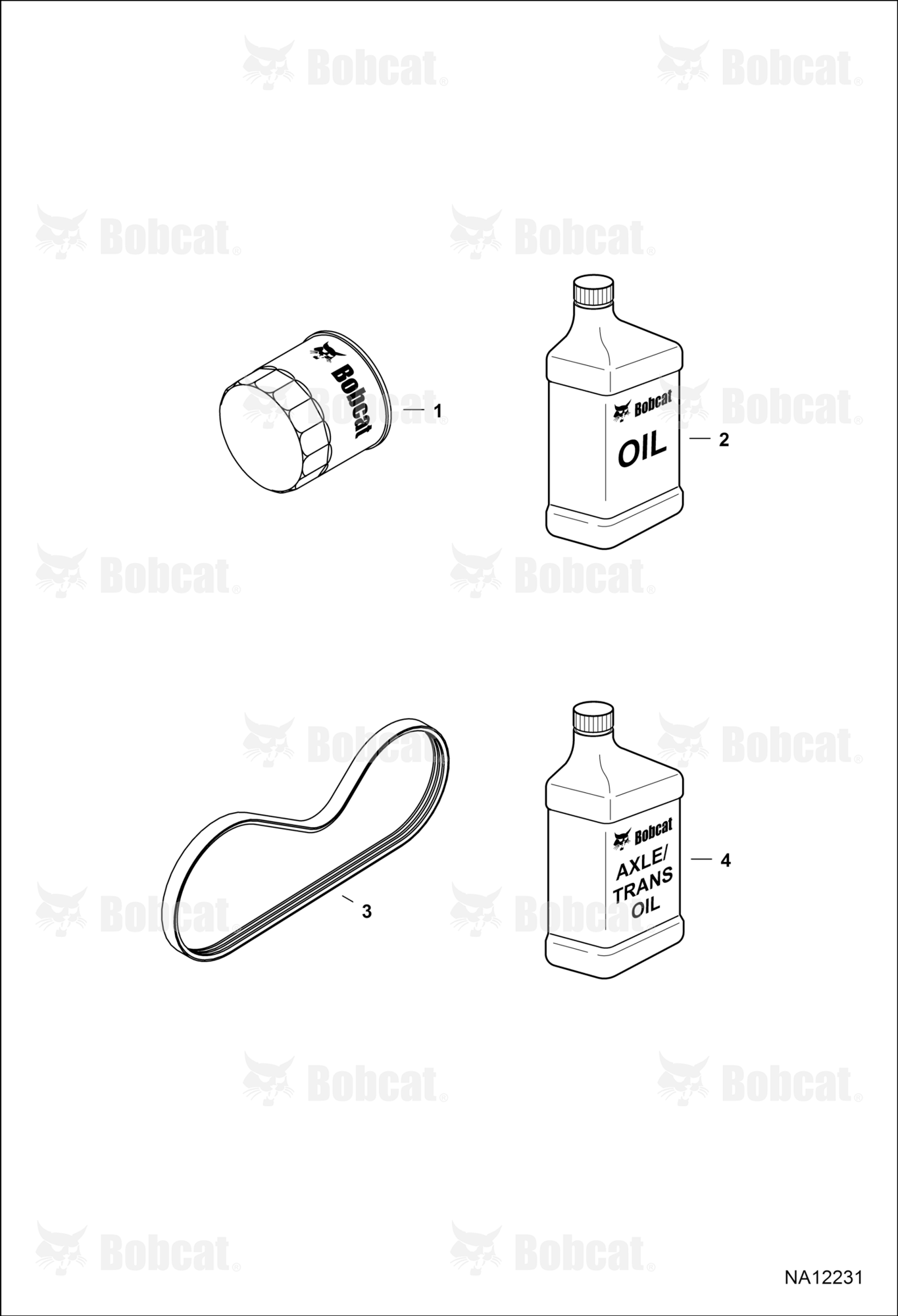 Scheduled Maintenance Items (Every 50 Hours)